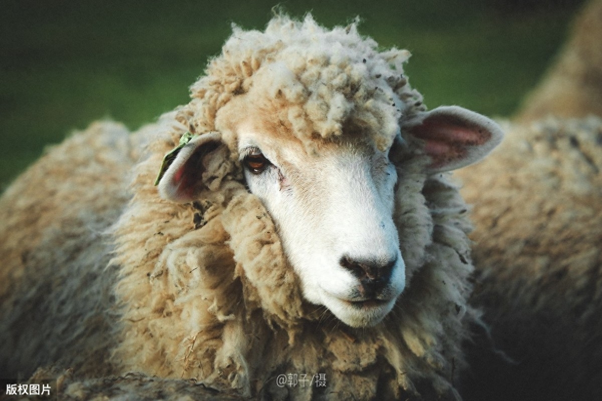 日常补硒 促进肠健康(补硒对肠息肉好处)-硒宝网