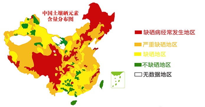 植物硒是什么 如何补(补充植物硒有什么功效)-硒宝网