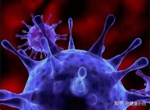 补硒产品都有哪些牌子（最有效和安全的补硒产品）-硒宝网