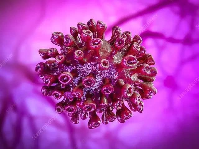 补硒产品都有哪些牌子（最有效和安全的补硒产品）-硒宝网