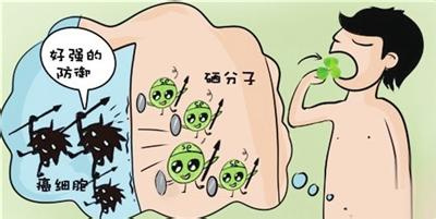 怎样正确补硒推荐食品（食疗补硒）-硒宝网