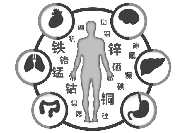 人体缺少硒怎么补最快（身体缺少硒）-硒宝网