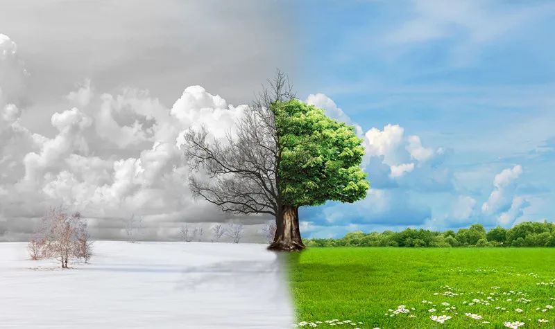 甲状腺结节需要补硒么（甲状腺结节补硒有什好处）-硒宝网