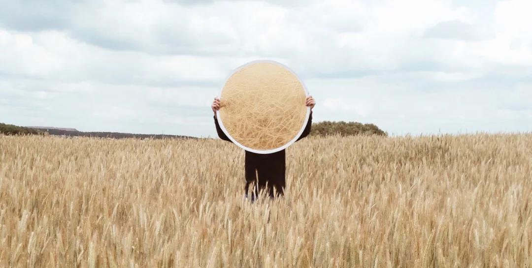 给母猪补硒一次补多少（母猪缺硒）-硒宝网