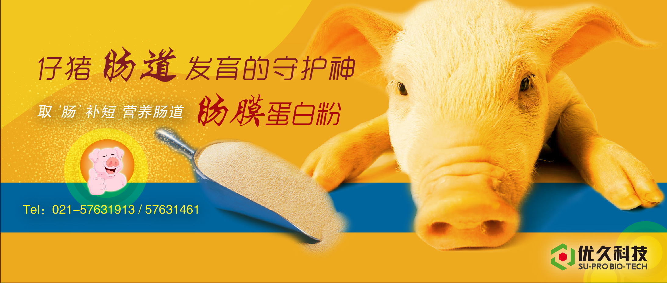 给母猪补硒一次补多少（母猪缺硒）-硒宝网