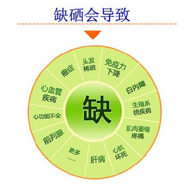 补硒后抗体top降低(硒可以提高t细胞抗体合成吗)-硒宝网