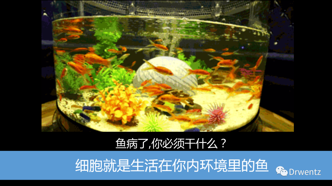 补碘补硒副作用大不大（新硒望科学补硒协会）-硒宝网