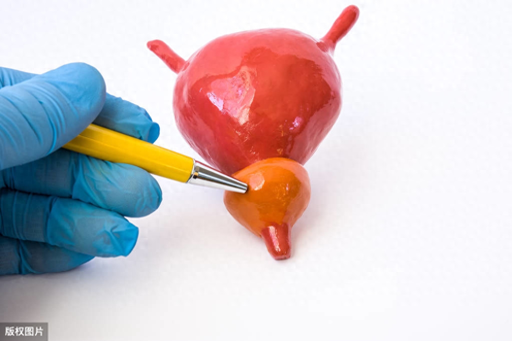 补硒还有补维生素D吗(补维生素硒吃什么钙片最好)-硒宝网