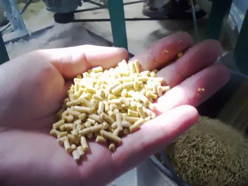 七天仔猪补硒是补的啥(仔猪补硒用量)-硒宝网