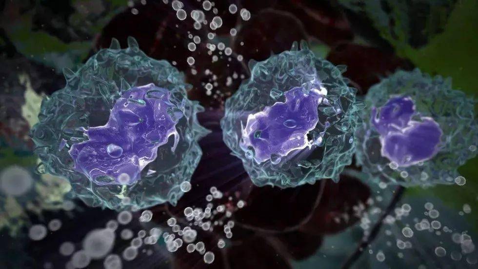 甲状腺可以补硒的药吗(甲状腺补硒的药)-硒宝网