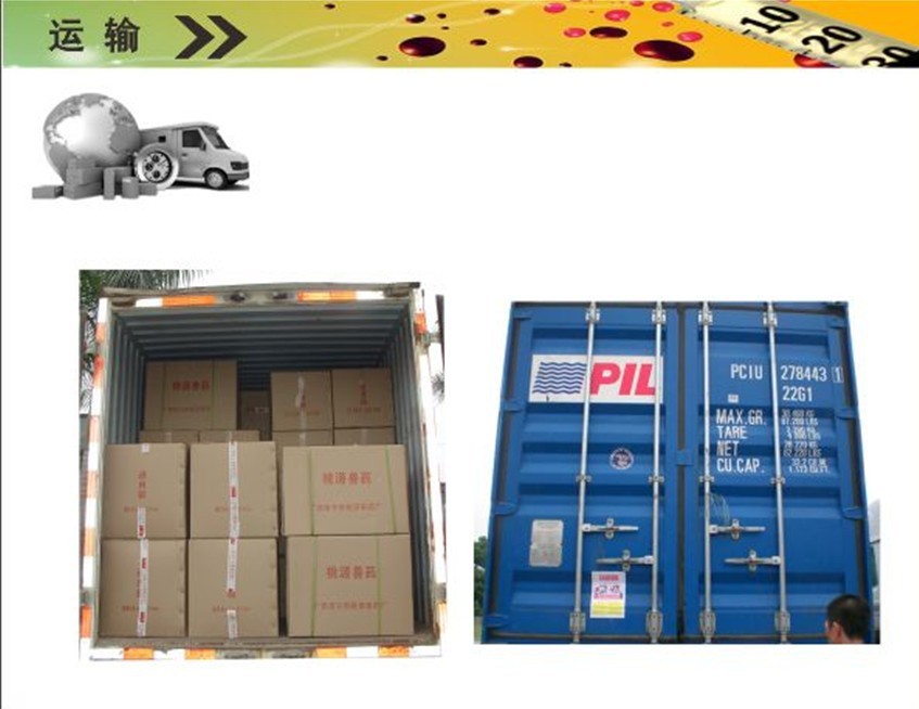 七天仔猪补硒是补的啥(仔猪七天补硒有什么好处)-硒宝网