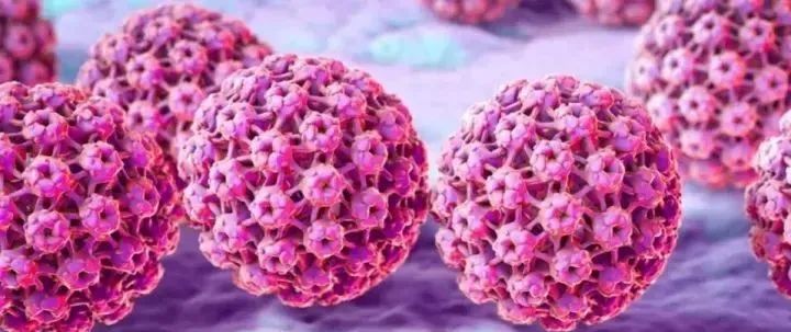 补硒能抗hpv感染吗(hpv感染多久能检查出来)-硒宝网