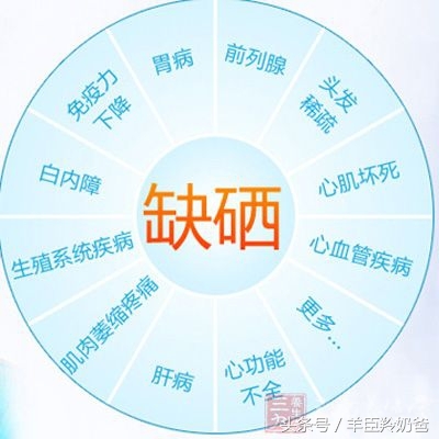 宝宝不补锌补硒吃什么(宝宝补锌吃锌硒宝可以吗)-硒宝网