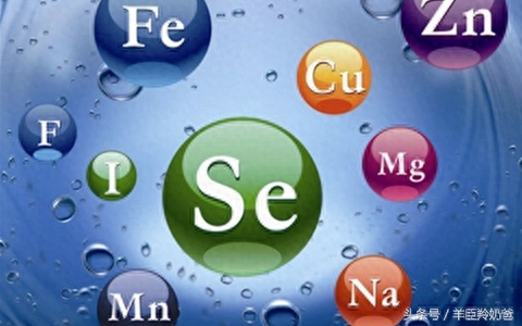 宝宝不补锌补硒吃什么(宝宝补锌吃锌硒宝可以吗)-硒宝网