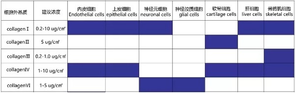 补硒可以提高白细胞么(细胞补白提高硒可以提高什么)-硒宝网