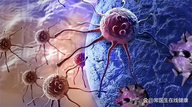 补硒的食物有什么作用（补食物作用硒有什么好处）-硒宝网