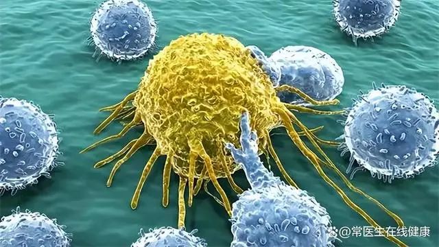 补硒的食物有什么作用（补食物作用硒有什么好处）-硒宝网