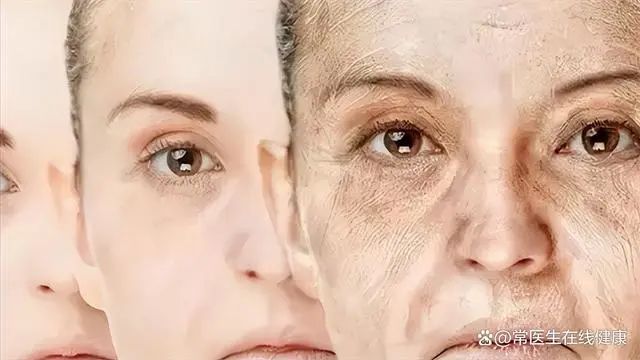 补硒的食物有什么作用（补食物作用硒有什么好处）-硒宝网