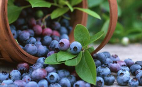 肝硬化患者补什么硒好(肝硬化患者缺硒吗)-硒宝网