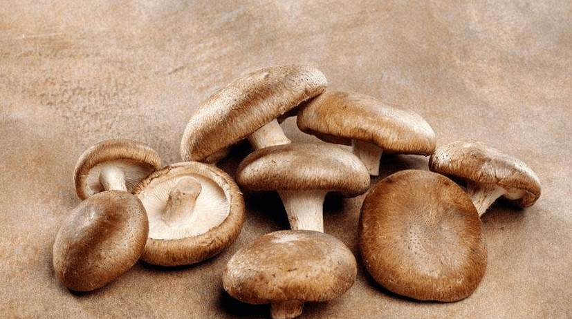 人体硒吃什么食物能补（吃硒补什么）-硒宝网