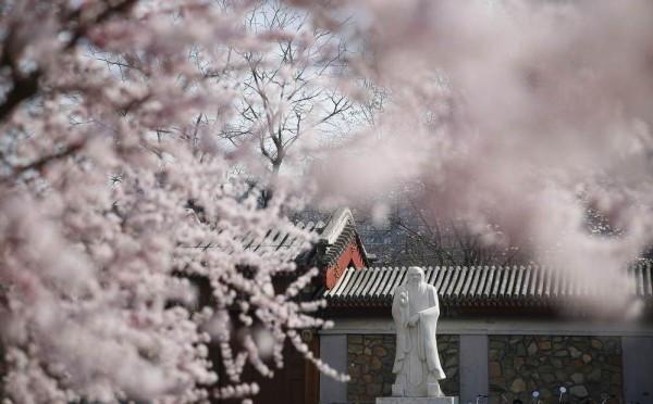 特种人群补硒量供参考(如何补硒d.吃高吉星蛋白硒好)-硒宝网