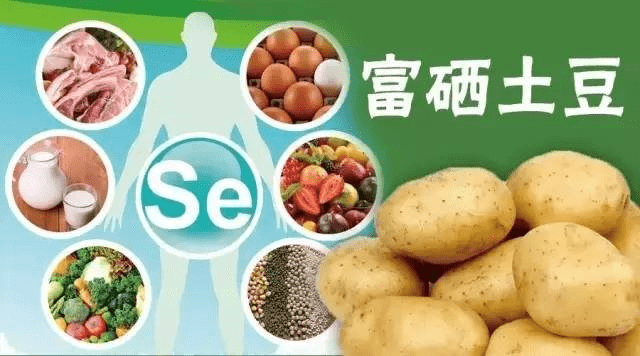 甲减应该怎样补硒元素(硒元素能治甲减吗)-硒宝网
