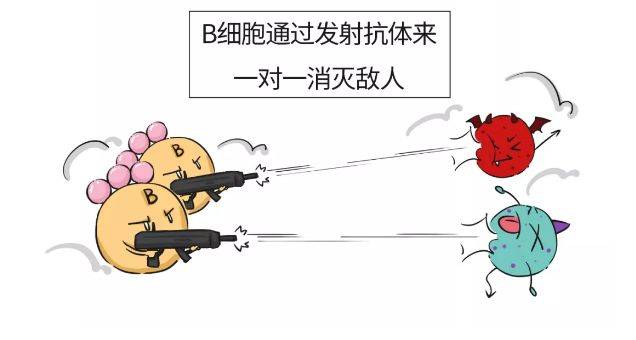 需要补硒的疾病是什么(补硒很重要吗)-硒宝网