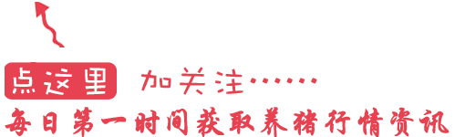 新生仔猪都在几日补硒（仔猪补硒八天可以吗）-硒宝网