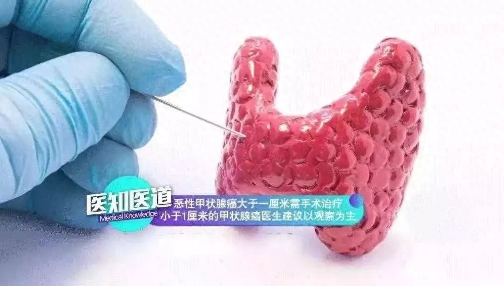 促甲状腺激素高补硒吗(促甲状腺激素高65)-硒宝网