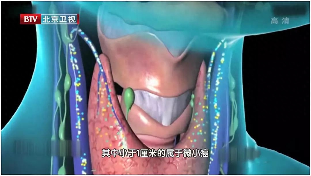 促甲状腺激素高补硒吗(促甲状腺激素高65)-硒宝网