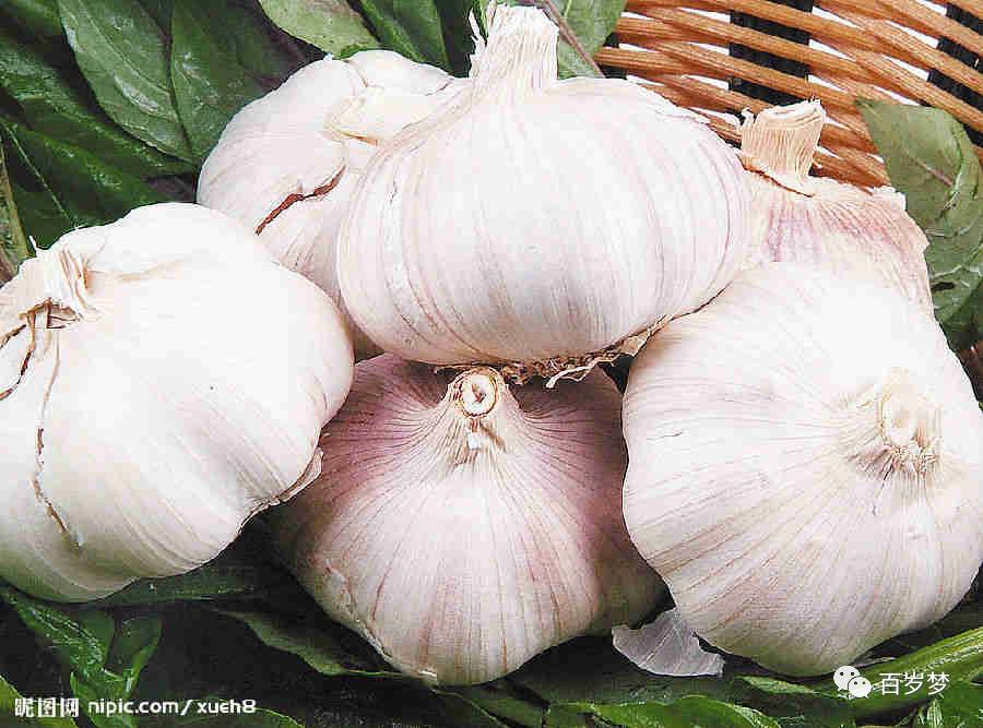 食疗补硒和硒片哪个好(硒食补好还是药补好)-硒宝网