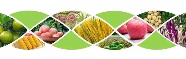 在巴马需要补硒吗现在(如何补硒d.吃高吉星蛋白硒好)-硒宝网