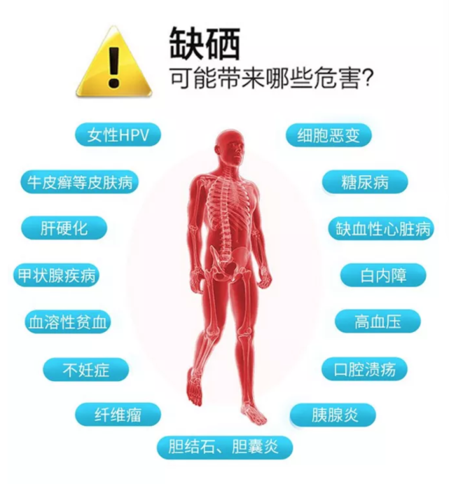 备孕补硒多少含量好呢(女性备孕补充多少硒)-硒宝网