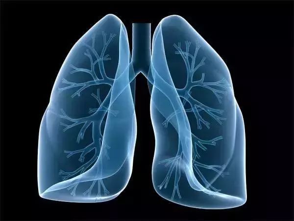 小细胞肺癌可以补硒吗(肺癌可以补充硒吗)-硒宝网