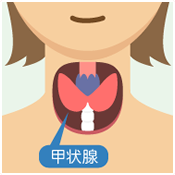 促甲状腺激素高补硒吗(激素促补甲状腺高硒蛋白)-硒宝网