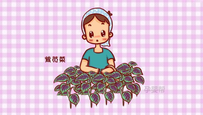 备孕补硒多少含量好呢(备孕补硒的好处)-硒宝网