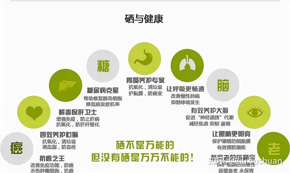 什么是科学补硒原理呢(科学原理补硒是指什么)-硒宝网