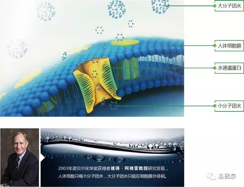 补硒可以提高ph值吗（补硒可以提高人体什么的活性）-硒宝网