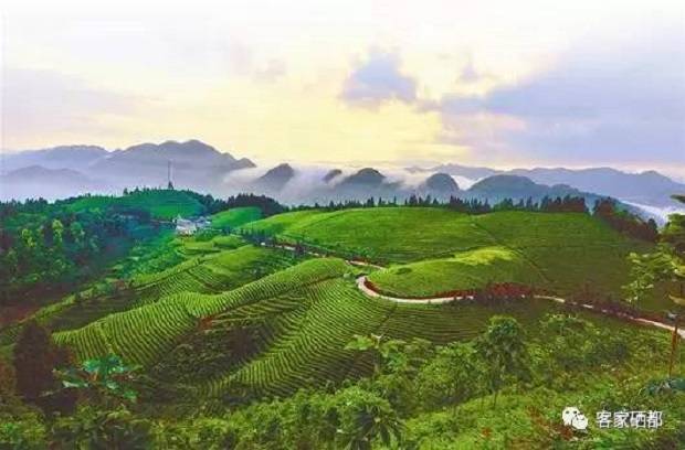 卫生部 全民补硒工程(国家卫生部全民补硒工程)-硒宝网