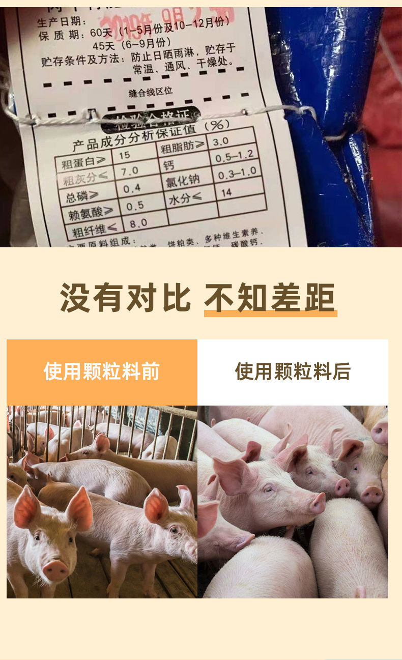 小猪补硒过敏怎么治疗（小猪过敏吃什么药）-硒宝网