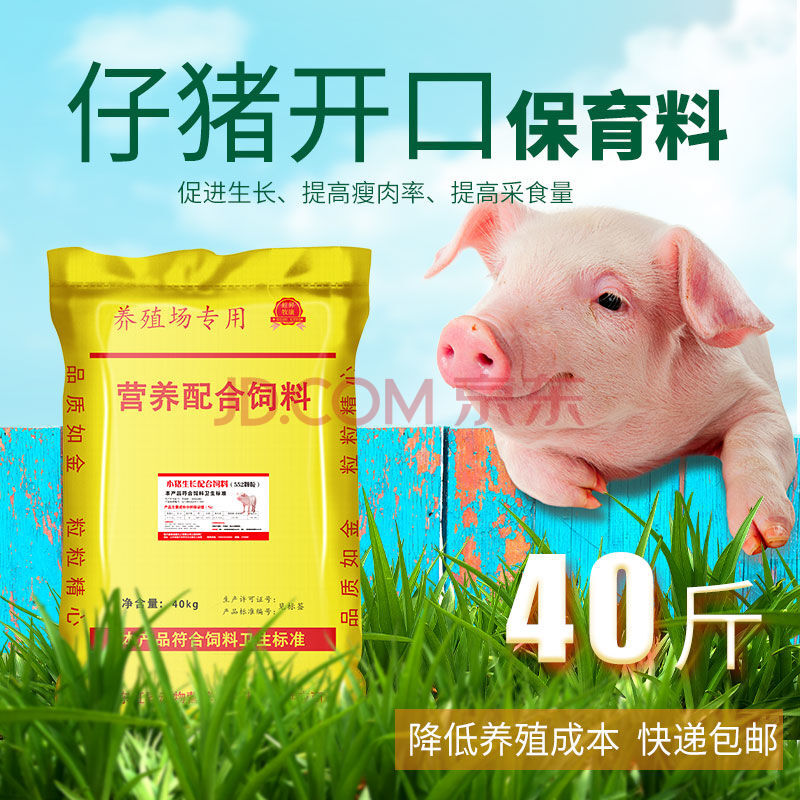 小猪补硒过敏怎么治疗（小猪过敏吃什么药）-硒宝网