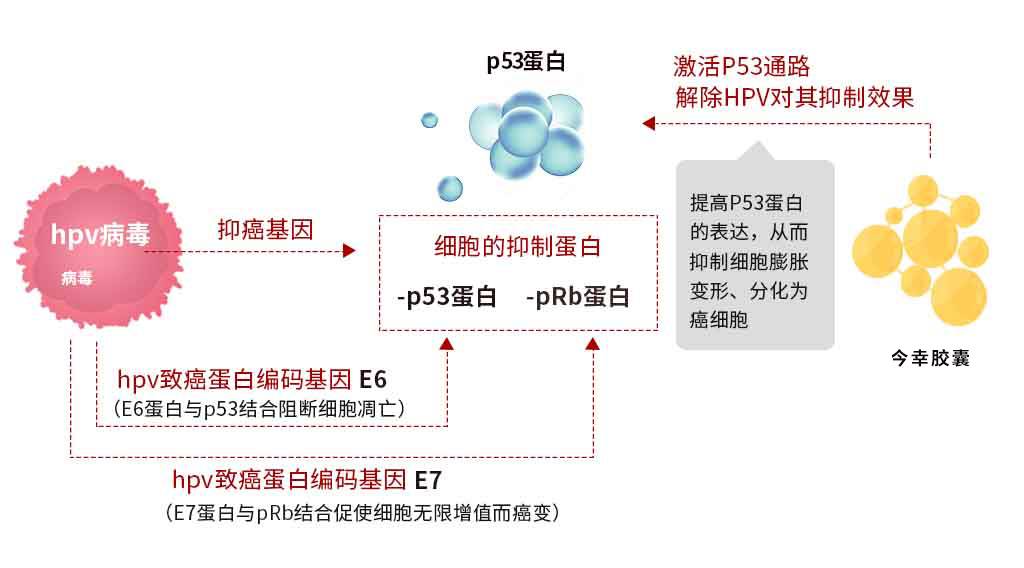 养螃蟹怎样补硒呢谢谢(蟹补充什么营养)-硒宝网