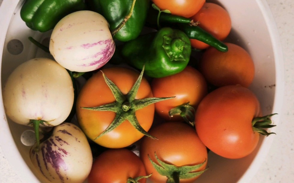 胃肠不好要补硒吗女性（补硒能治疗肠胃）-硒宝网