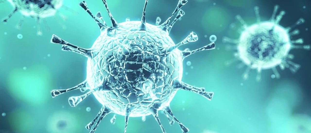 hpv31补硒的好处(补硒真的能让hpv转阴吗)-硒宝网