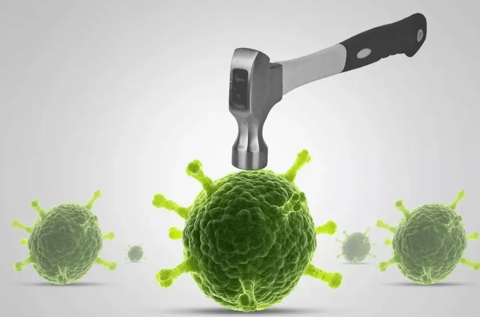 身体吃什么补硒元素好(补充硒元素吃什么最好)-硒宝网