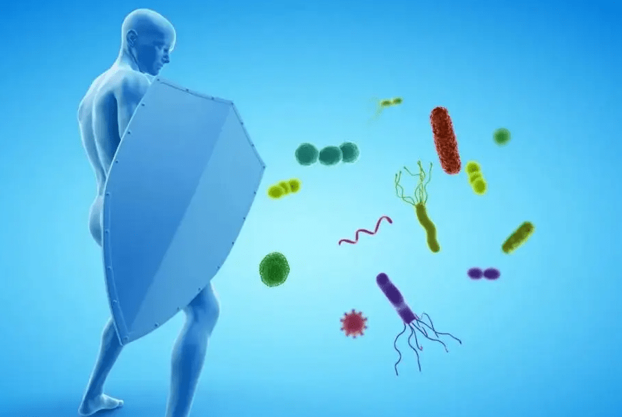 身体吃什么补硒元素好(补充硒元素吃什么最好)-硒宝网