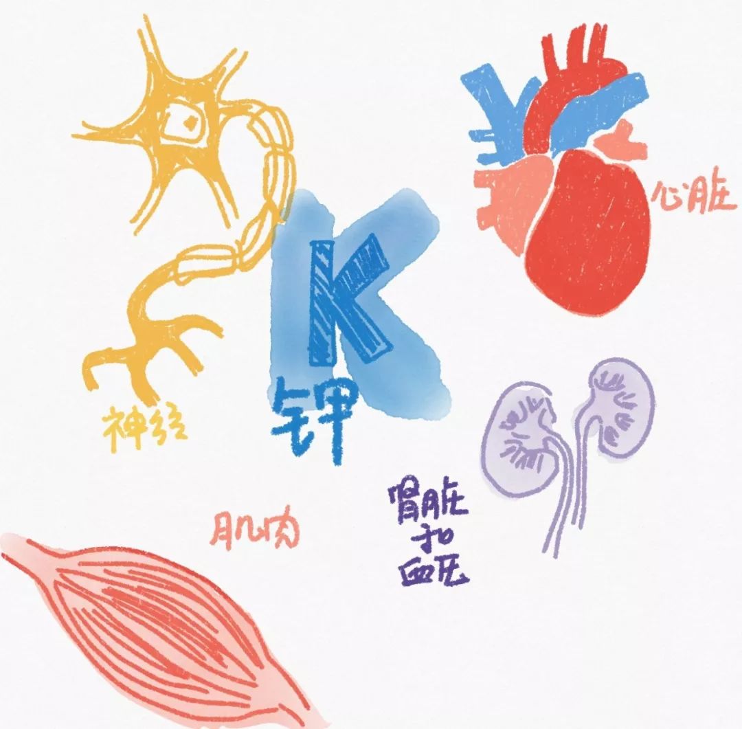 吃什么食物和水果补硒（水果补食物吃硒可以吗）-硒宝网