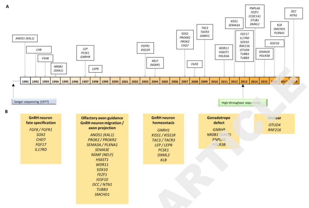 桥本甲状腺炎补硒多少（甲状腺桥本吃硒元素）-硒宝网