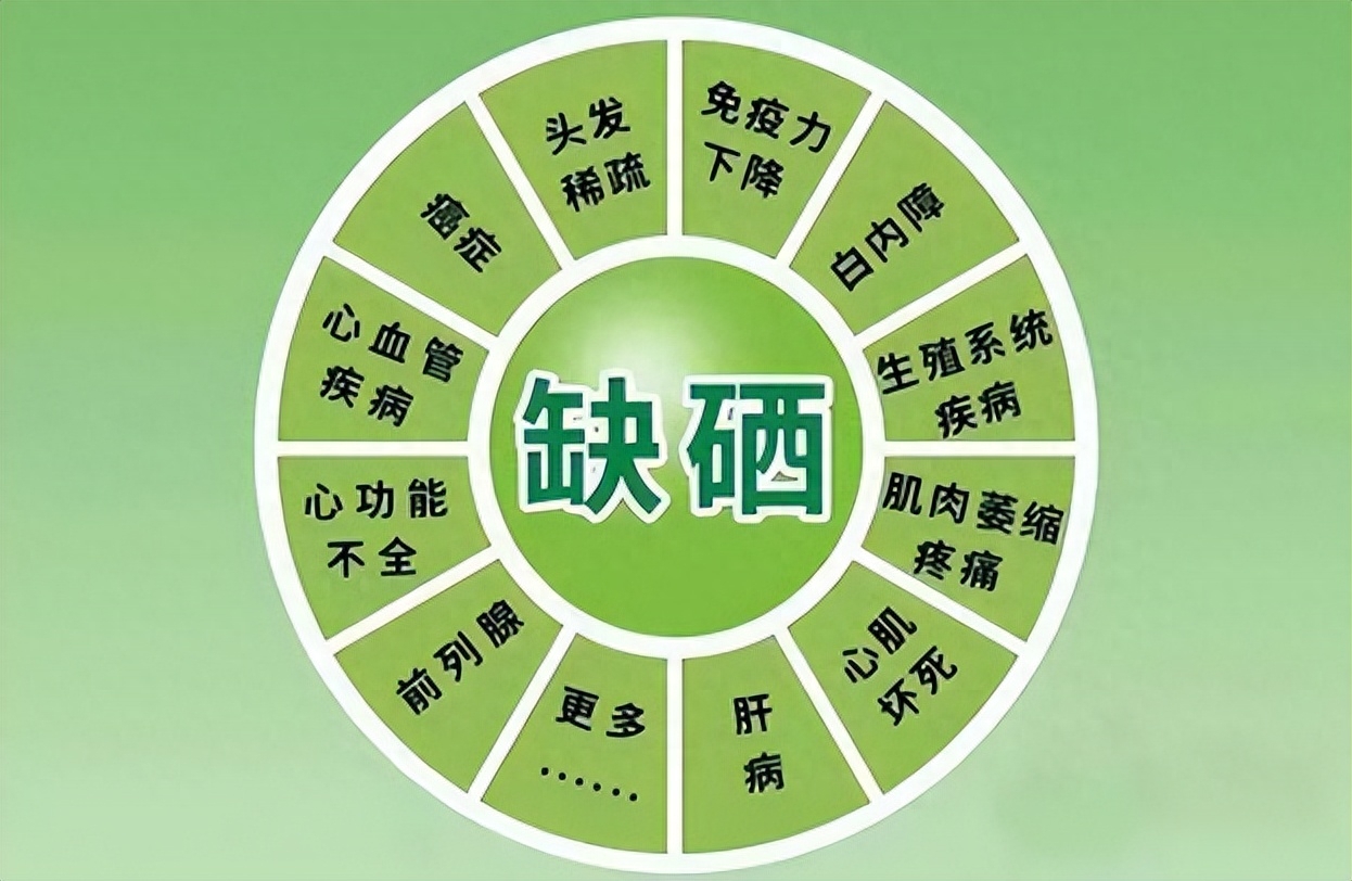 硒元素补什么最好呢呢（补充硒元素）-硒宝网