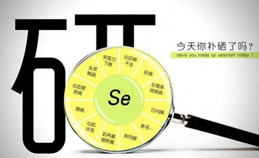 硒元素补什么最好呢呢（补充硒元素）-硒宝网